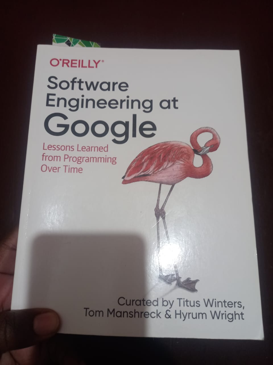 swe-google-book